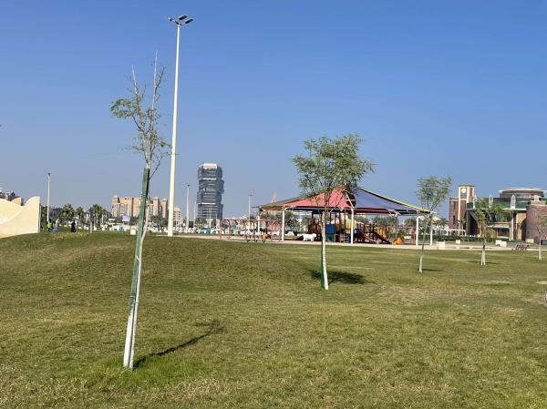 زراعة 150 شجرة في واجهة الخبر البحرية