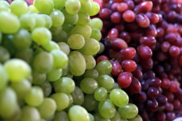 زيت بذور العنب مفيد لصحة القلب والجلد