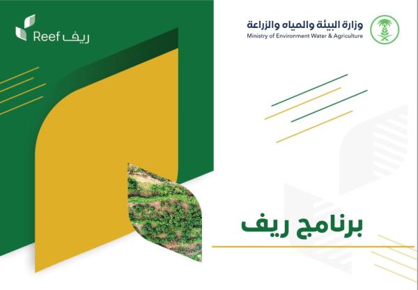 بينها البُن.. دعم 5 قطاعات لرفع إنتاجها على مستوى المملكة