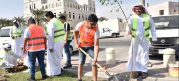 زراعة 120 شجرة ظل في «ميدان القلعة» بالقطيف