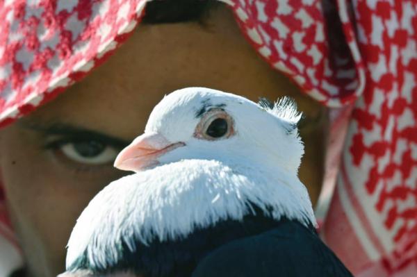 سوق الحمام..ملتقى أسبوعي لعشاق الطيور