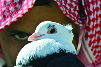 سوق الحمام..ملتقى أسبوعي لعشاق الطيور