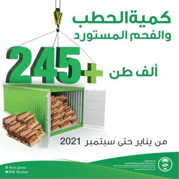 استيراد ربع مليون طن من الفحم والحطب خلال 9 أشهر 