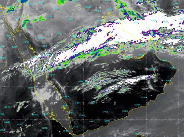 أمطار وضباب .. تعرف على طقس اليوم