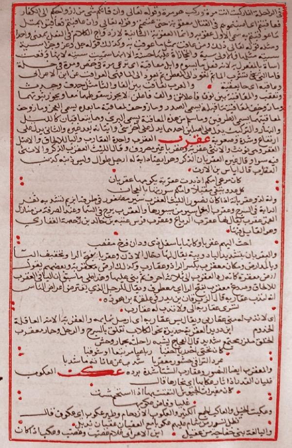«معجم العباب».. مُنجز علمي مميز يضاف لجهود المملكة التراثي