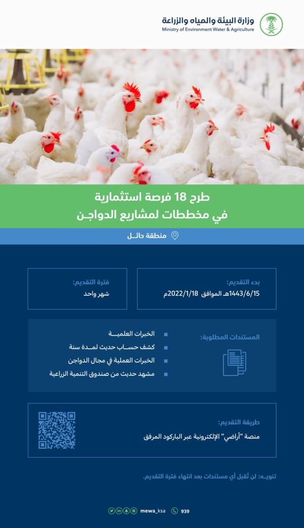 «البيئة» تطرح 18 فرصة استثمارية بالدواجن في حائل 
