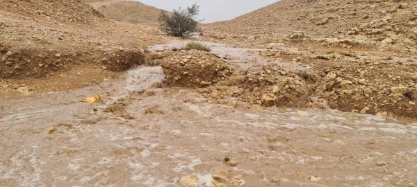«الأرصاد»: أمطار وضباب على عدة مناطق بالمملكة