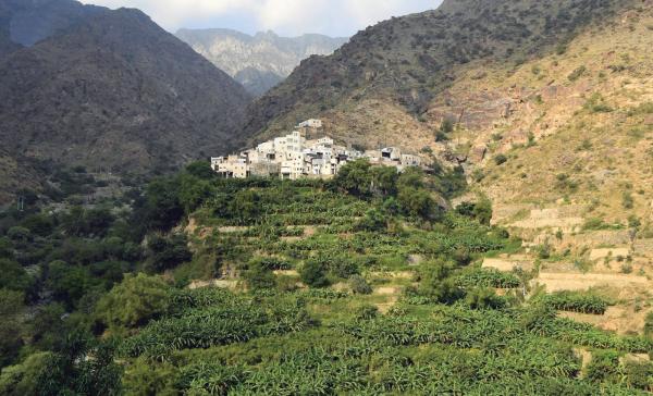 «وادي الغيل».. وجهة الباحثين عن الراحة بين سهول تهامة ومرتفعات «السروات»