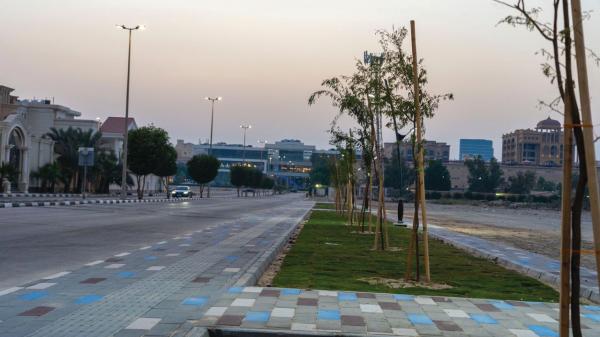 الخبر.. زراعة 2156 شجرة في ديسمبر