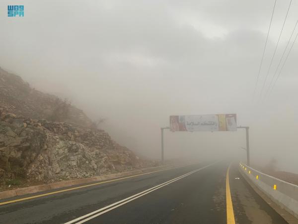 ضباب على حائل