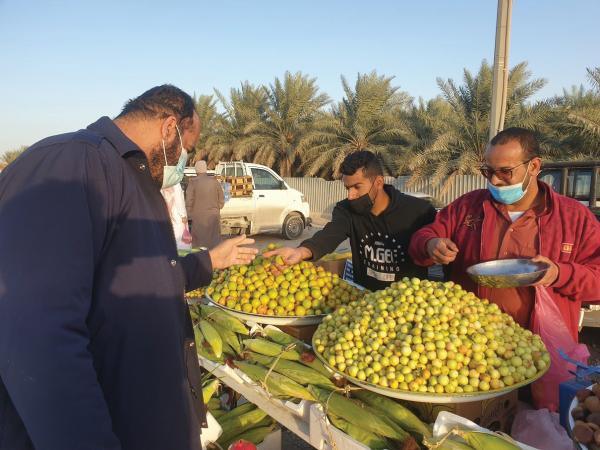 إقبال على الكنار الحساوي.. والكيلو بـ 25 ريالا