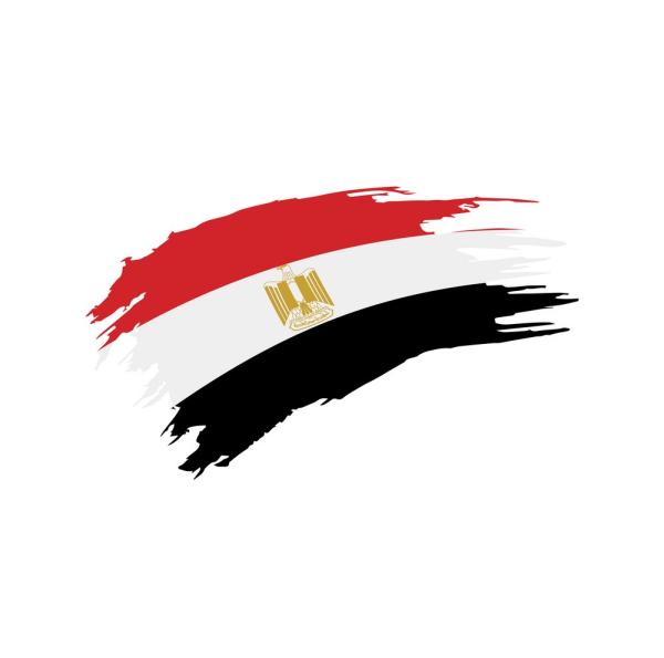 كان 2021.. العرب في تحد جديد