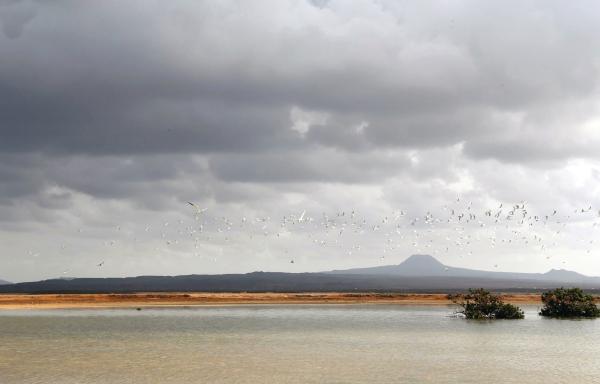 «سواحل عسير»..متعة الشتاء بين الغيوم وأمواج البحر