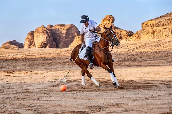 4 مهرجانات بالعلا .. أعظم تحفة عرفها الزمن
