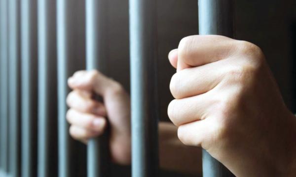 إحباط تهريب 132 كيلو «قات مخدر»