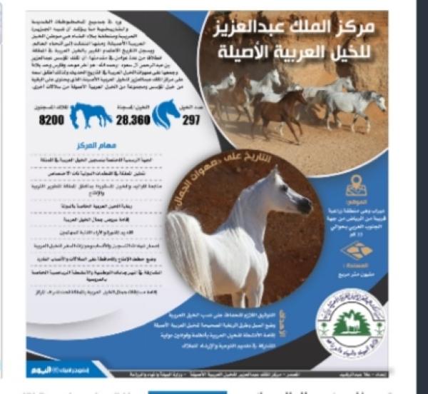 مركز الملك عبدالعزيز للخيل العربية الأصيلة