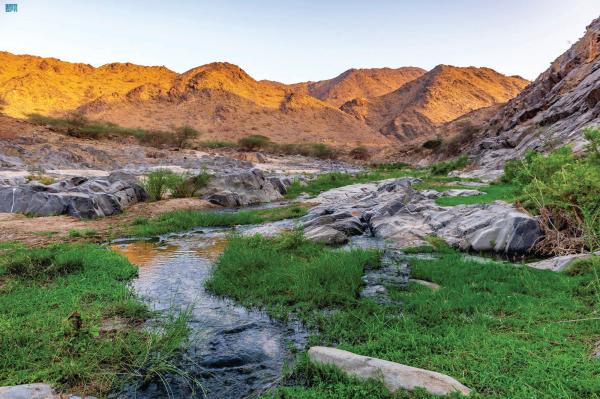 «شلال الخرار» بالباحة.. وجهة الباحثين عن جمال الطبيعة