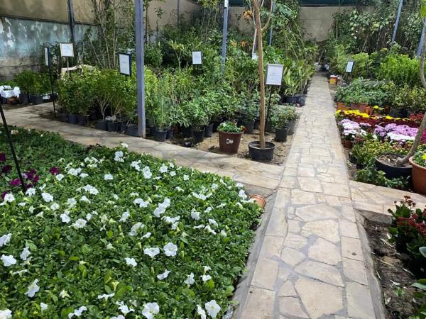 جولات على مشاتل حفر الباطن