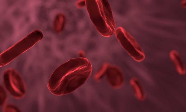 أطلس لـ«جزيئات بروتينات الدم»