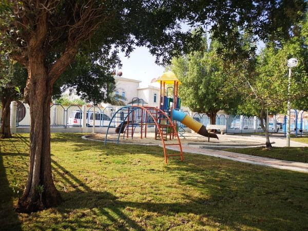 استبدال المسطحات الخضراء في حديقة الأقحوان