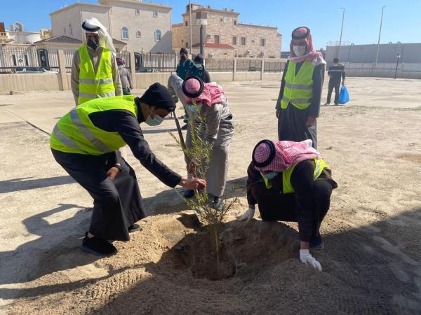 «الخفجي أجمل» تزين الشوارع والساحات بـ 450 شجرة