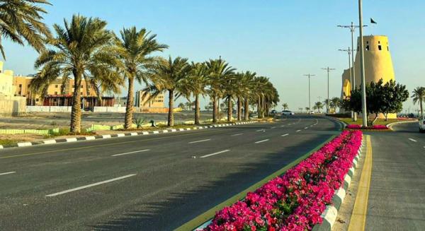 حدائق وميادين القطيف تتزين بمليوني زهرة