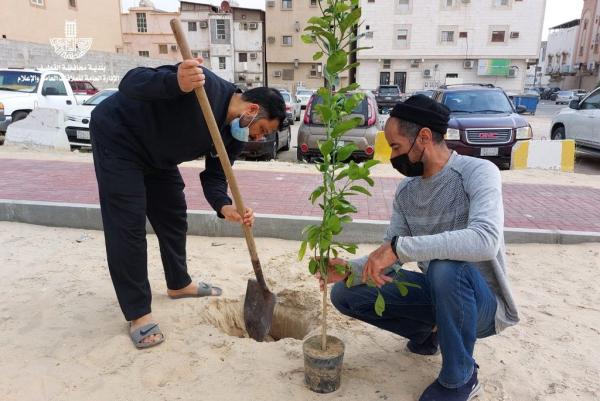تحسين المشهد الحضري بـ«التوبي»