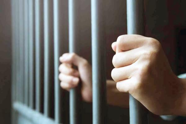 إحالة المحتال على «المسنين» للنيابة