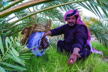 «المجرش» رمز الضيافة وإكرام الزوار بالجوف