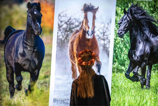 «الثقافة» تحتفي بالإبداع في كأس السعودية لسباقات الخيل