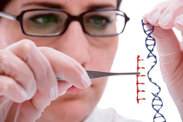 شجرة عائلية عملاقة تضم 27 مليونا