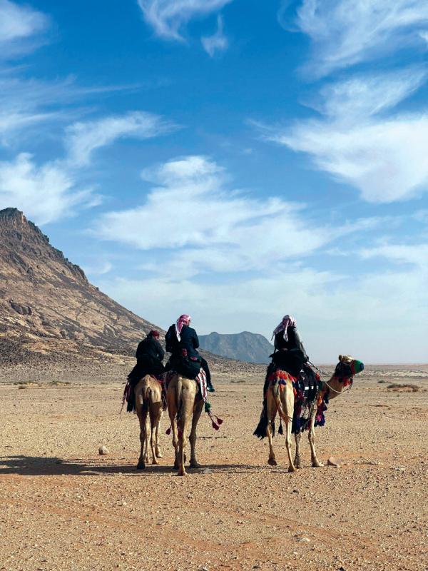 إطلاق «ركايب جبة» بمحمية الملك سلمان