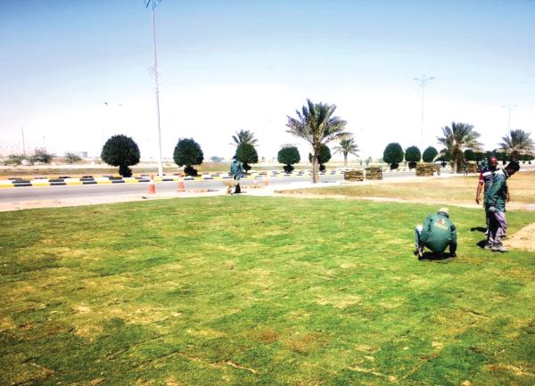 النعيرية.. استكمال «ممشى النخيل» بمساحة 2000 م2