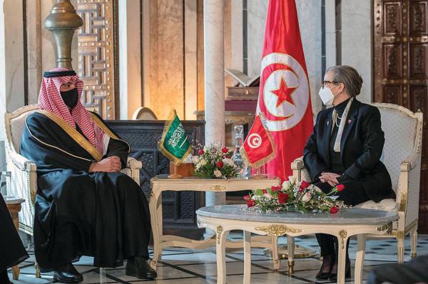 وزير الداخلية يبحث التعاون الأمني مع تونس