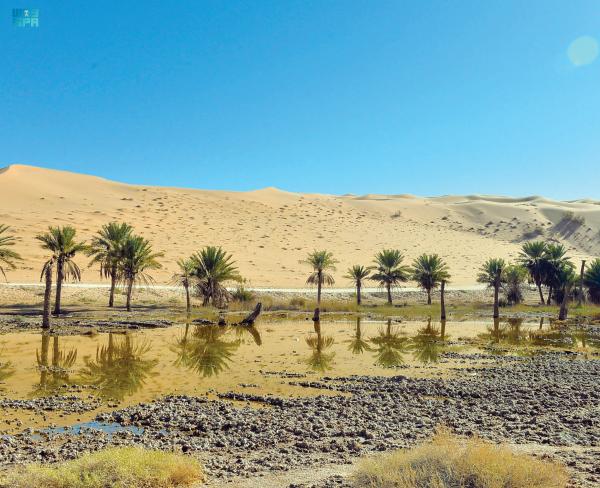 «واحات المذنب».. جمال يسكن قلب الصحراء