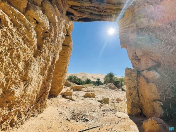 «واحات المذنب».. جمال يسكن قلب الصحراء