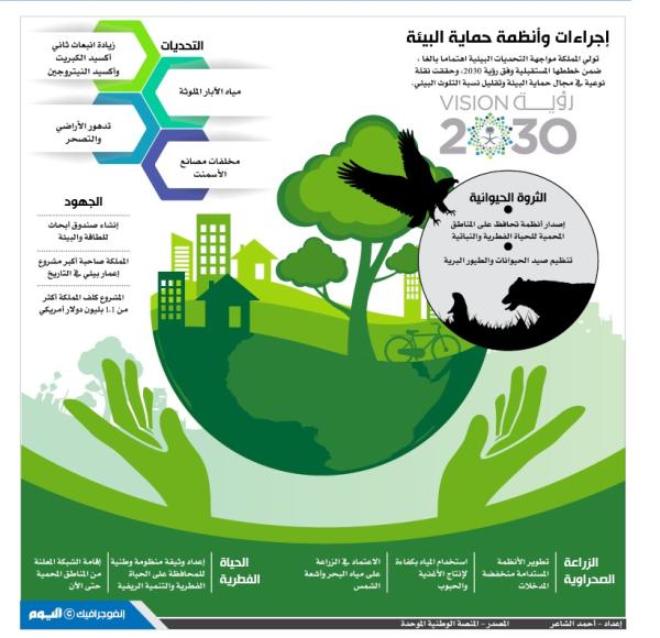 إجراءات وأنظمة حماية البيئة