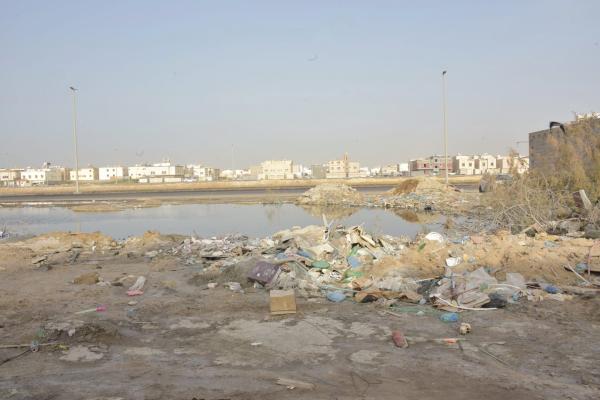 مستنقعات الضاحية.. خطر «محدق» بسكان الأحياء