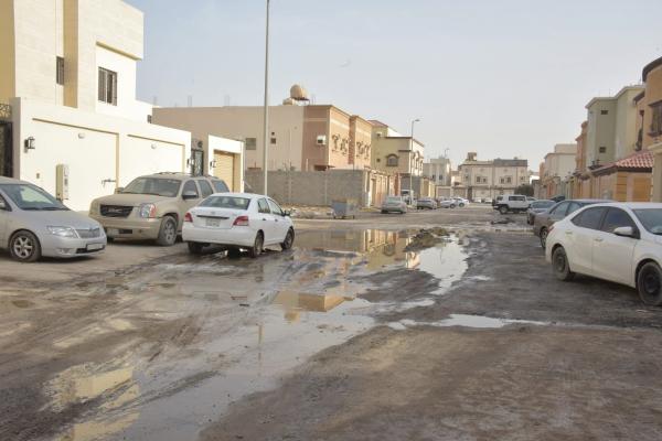 مستنقعات الضاحية.. خطر «محدق» بسكان الأحياء