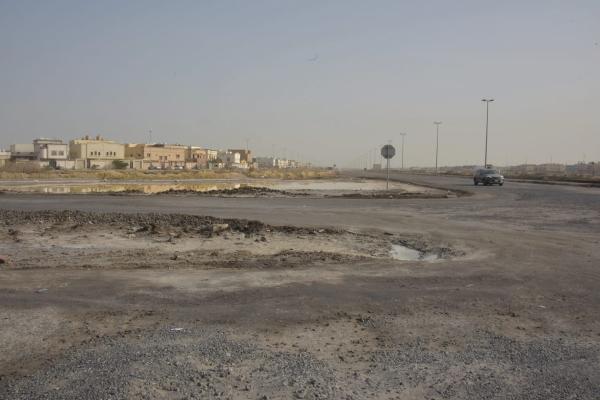 مستنقعات الضاحية.. خطر «محدق» بسكان الأحياء