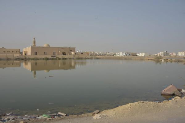 مستنقعات الضاحية.. خطر «محدق» بسكان الأحياء