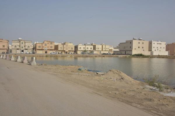 مستنقعات الضاحية.. خطر «محدق» بسكان الأحياء