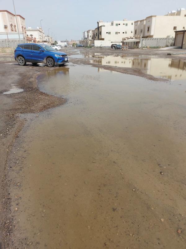 مستنقعات الضاحية.. خطر «محدق» بسكان الأحياء