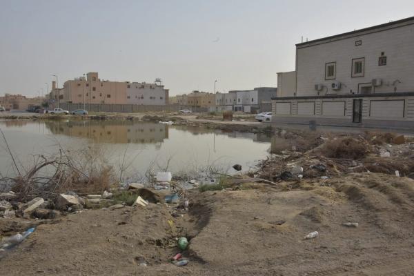 مستنقعات الضاحية.. خطر «محدق» بسكان الأحياء