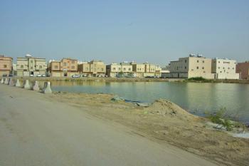 مستنقعات الضاحية.. خطر «محدق» بسكان الأحياء