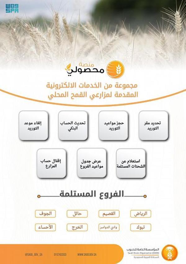 «العامة للحبوب» بدء استلام القمح المحلي الأحد القادم