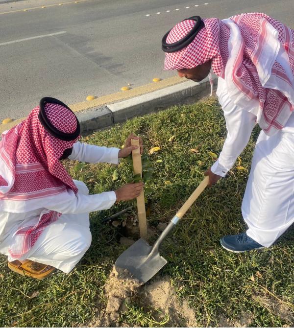 زراعة 120 شتلة بـ«دوحة الظهران»