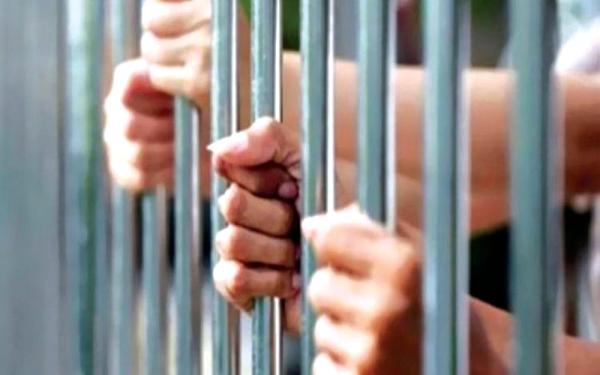 إحالة 20 لصا سرقوا منشآت واعتدوا على حراساتها للنيابة