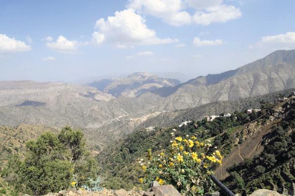 «جازان».. وجهة سياحية متألقة في الأجواء الربيعية