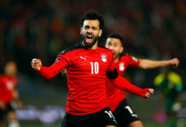 مصر تروض أسود التيرانجا